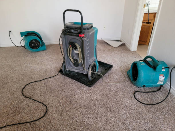 Best Carpet water damage restoration  in Wmington, IL