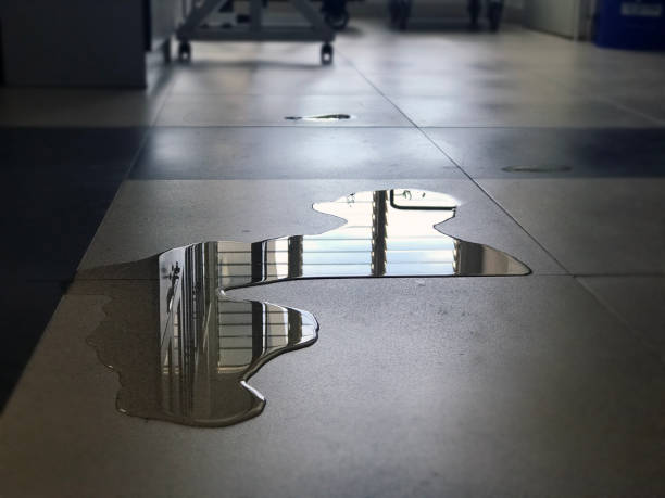 Best Professional water damage repair  in Wmington, IL