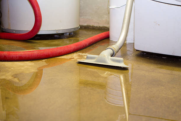 Best Water damage restoration mold remediation  in Wmington, IL