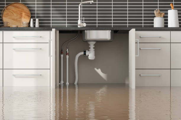 Water damage restoration mold remediation in Wilmington, IL