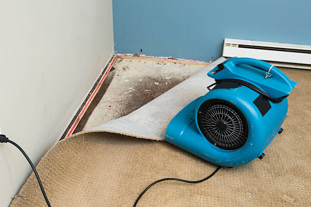 Best Basement water damage restoration  in Wmington, IL